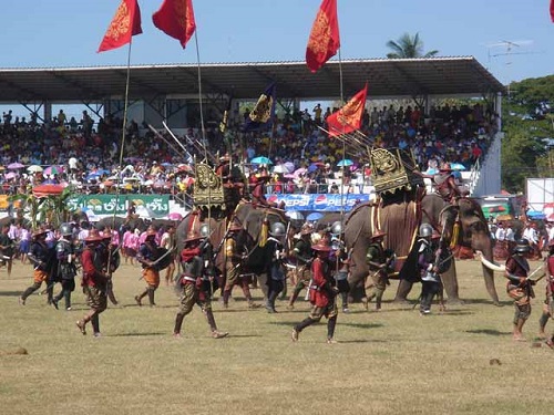 Surin Elephant Round-up